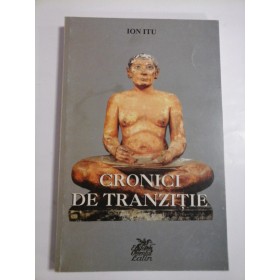 CRONICI DE TRANZITIE - ION ITU